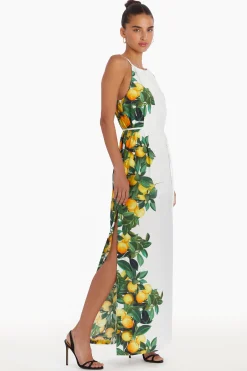 New Amanda Uprichard Alicanta Maxi Lemonhead