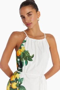 New Amanda Uprichard Alicanta Maxi Lemonhead