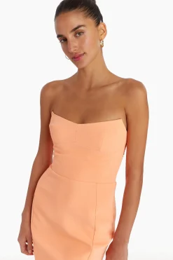 Hot Amanda Uprichard Ivy Mini Dress Guava