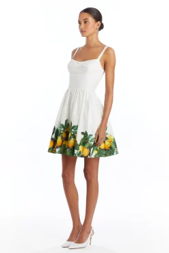 Best Amanda Uprichard Napoli Dress Lemonhead